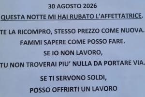 Offre un lavoro al ladro seriale