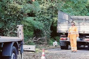 Via i 25 olmi morti da via Gallani