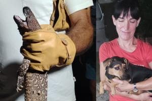 La cagnolina Stella cattura il "mostro" dell'Adige