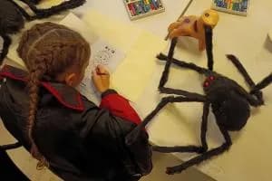 La Collezione è vero un mistero
