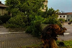 Tromba d'aria, black out, danni e paura