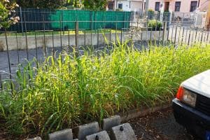 "Il degrado è già tornato a farla da padrone"