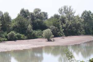L’Adige scende ai livelli di guardia