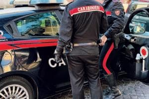 Centinaia di prodotti antizanzare rubati: presi
