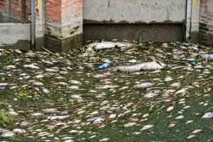 “Sì, è stato un disastrio"