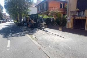 Marciapiede divelto per l’irrigatore