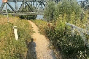 Dove l’erba alta è da vergogna