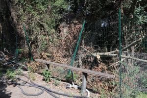 Parco Langer abbandonato, pericolo doppio