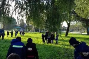 Interventi sugli alberi a rischio