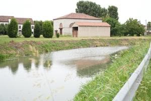 Erbe acquatiche, iniziato lo sfalcio sul Ceresolo