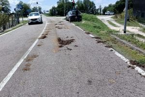 Due strade invase dal letame