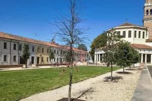 E’ morto un altro leccio in Piazza XX Settembre