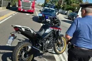 Schianto mortale e strada chiusa a Saline