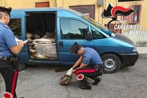 I bracconieri fanno un'altra strage di pesce