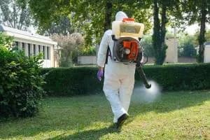 West Nile: “Via a sorveglianza e prevenzione”