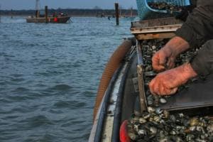“Sulla crisi strumenti già attivi”
