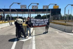 "Liberate l'orso": autostrada bloccata