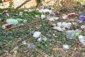 Sbandati e sporcizia, “intervenite”