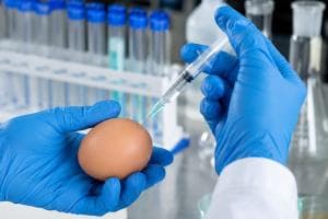 "Pfas nelle uova": esplode l'allarme
