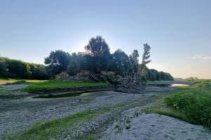 “Crisi del Po, intervenga il Governo”