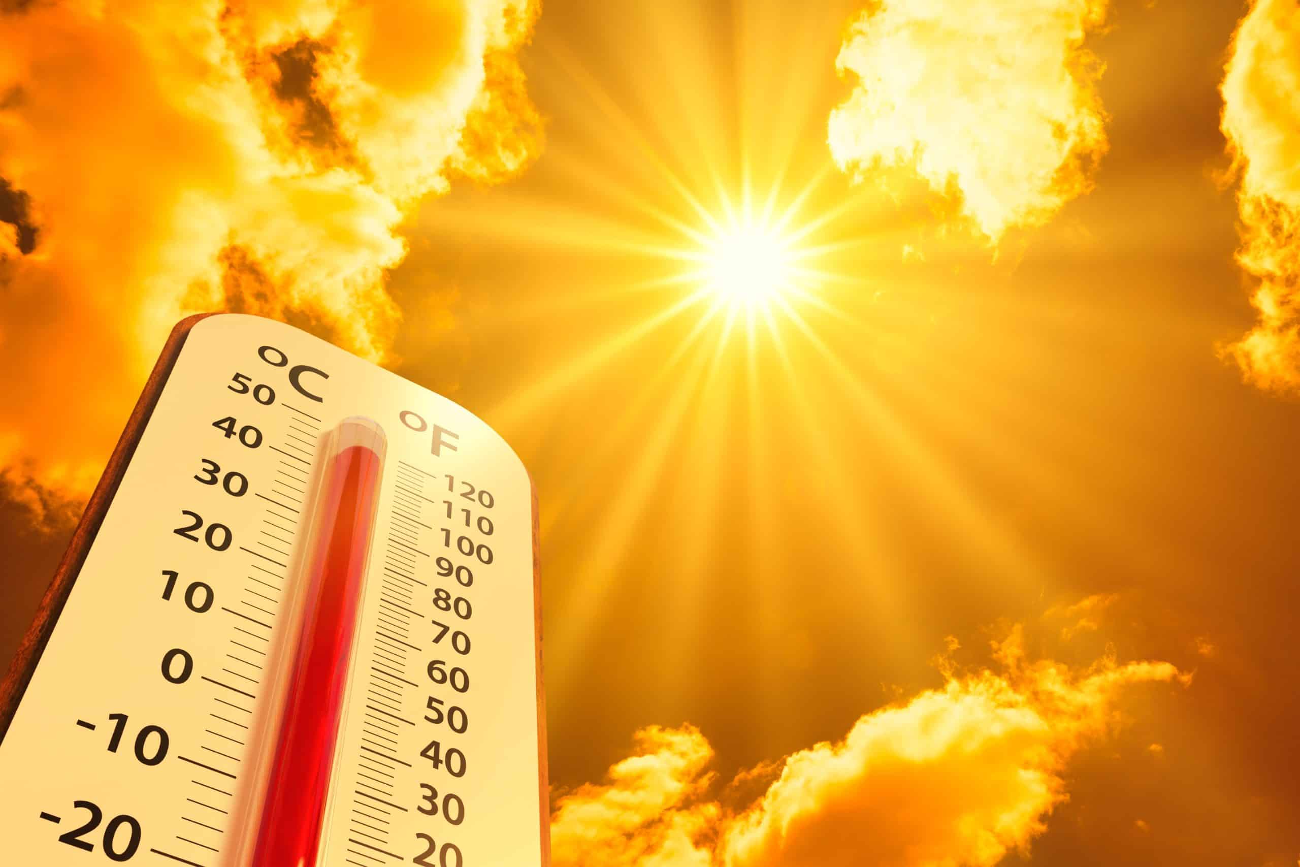 Caldo estremo in Europa: temperature vicine ai 40 gradi e crescono le emergenze sanitarie