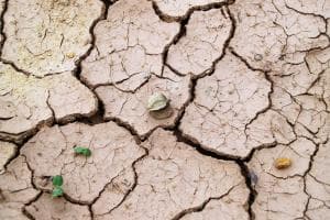 L’acqua sarà il nuovo oro