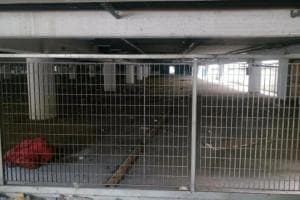Ex Torri chiuso e sorvegliato