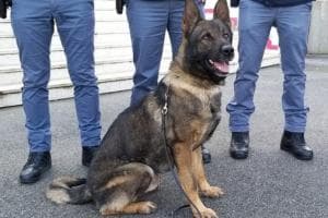 “No propaganda sulla polizia locale”