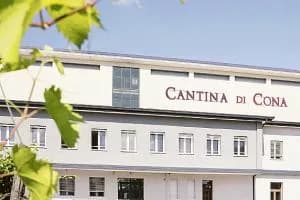 Dal 1960, un filo diretto tra vigneti e società