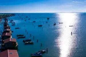 Il Delta del Po in un grande “Battito d’ali”