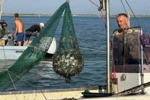 In un biennio la pesca fa il -29%