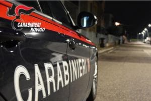 Sorprende il ladro in azienda e lo affronta con la pala