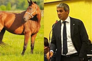 200 mila euro per i progetti dedicati al cavallo
