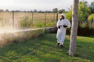 Zanzare: scatta la disinfestazione straordinaria