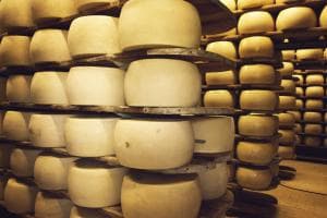 Commando di ladri in fuga con un patrimonio in parmigiano