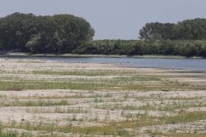 Po sofferente, Adige ai minimi