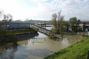 Cercasi gestore del porticciolo