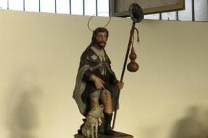 Cani “star” alla festa di san Rocco
