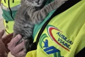 L’ultimo turno, poi il salvataggio
