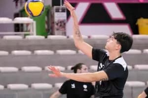 Delta Volley, percorso in linea