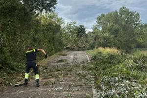 Cento interventi per la tromba d’aria
