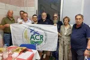 “Incuria e verde nell’alveo del Po”