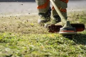 Riconoscimenti a chi cura il verde