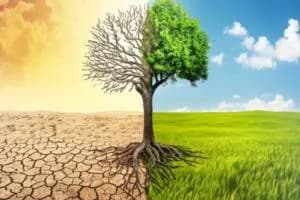 Clima, “occhio alle chiacchiere”