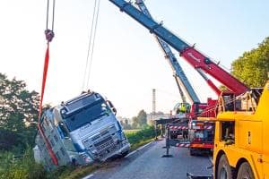 Fuoristrada un tir carico di tori