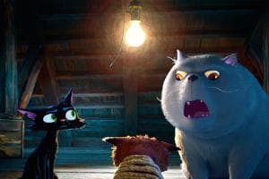 Venezia diventa Pixar: arriva “Gatto”