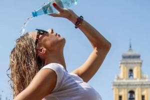 Allarme afa, gli ospedali reggono