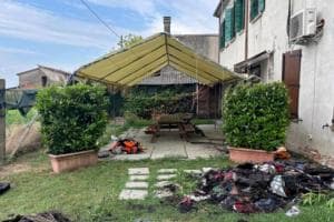 La famiglia, il fuoco, la solidarietà