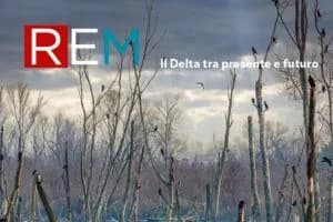 Il Delta alla prova del futuro