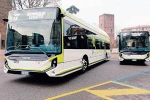 Autobus, Polesine sale con Verona